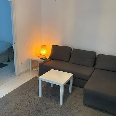 Appt 4 Pers Avec Jardin Ombrage En Centre Ville De セット エクステリア 写真