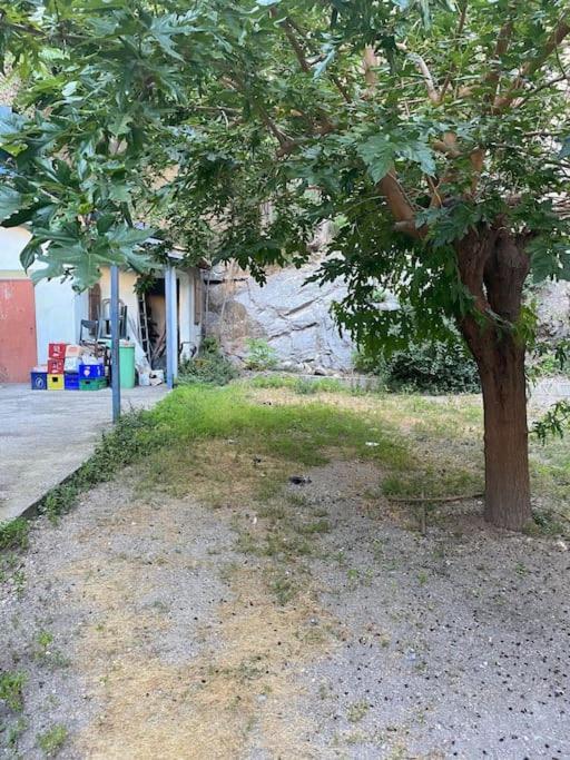 Appt 4 Pers Avec Jardin Ombrage En Centre Ville De セット エクステリア 写真